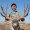 Texas Big Game Awards offering $20,000 in scholarships